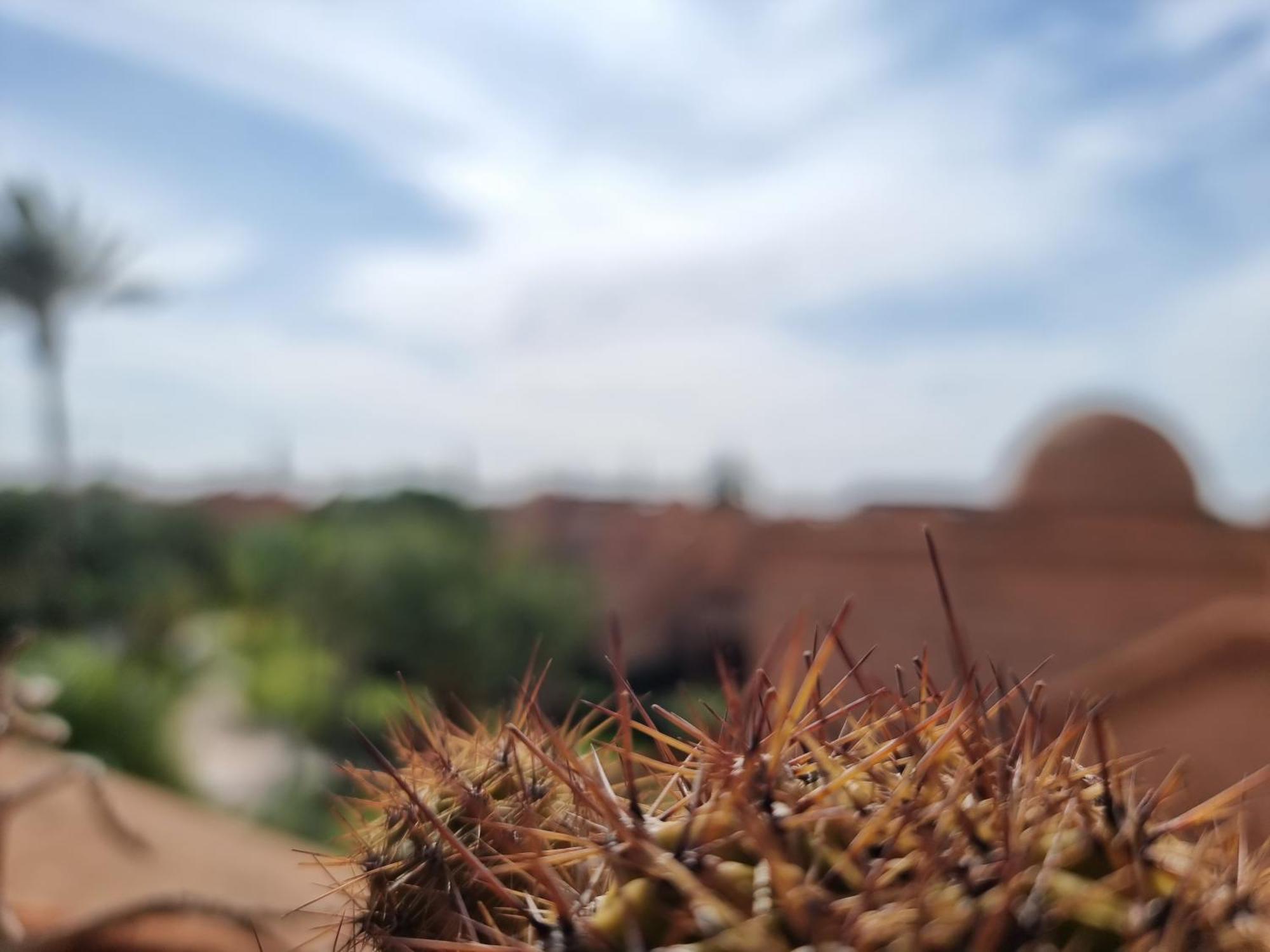 Appartamento La Perle De Marrakech By Atlas Golf